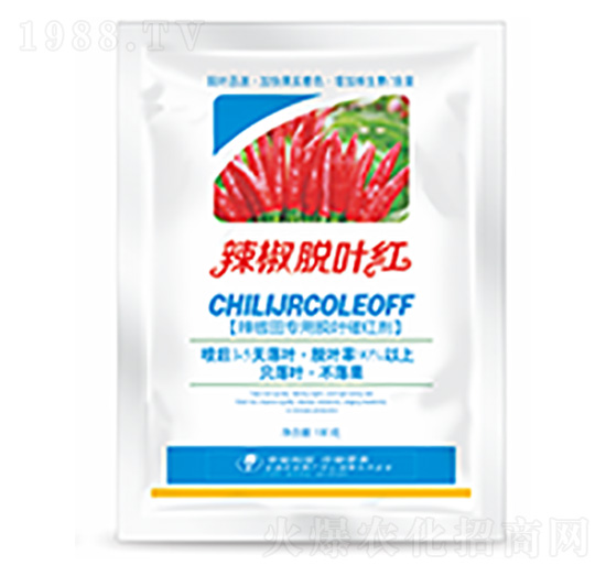 ����Ó�~�t-�����Ƽ�