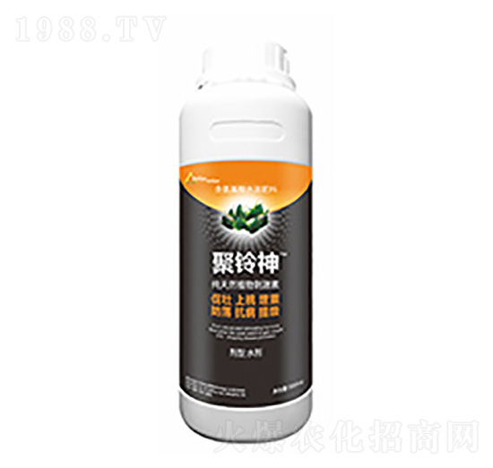 �����-�����Ƽ�