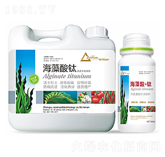 �������-�����Ƽ�