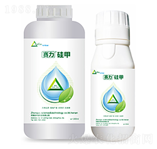 ِ�����-�����Ƽ�