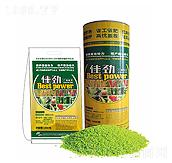 �ф�-�����Ƽ�