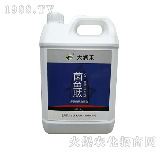 菌魚(yú)肽-多肽酶解魚(yú)蛋白-大潤(rùn)禾