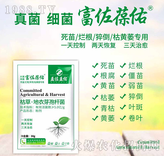 �ݲݡ�����ѿ�ߗU��-��������-��������