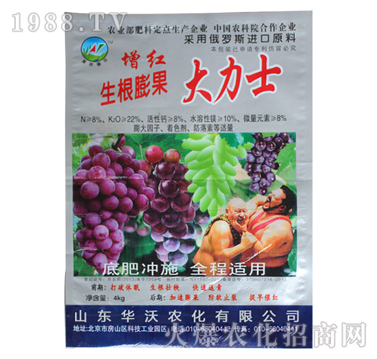 �����������ʿ-�A���r��