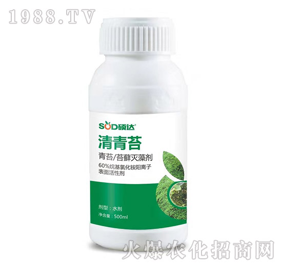 ����̦-�T�_(d��)