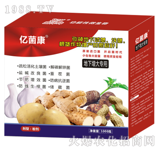 地下增大專(zhuān)用-億菌康R-盛澤坤