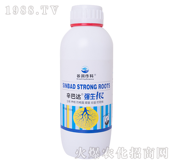 強生根-辛巴達-谷潤作科