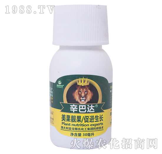 �����_��30������-�ȝ�����