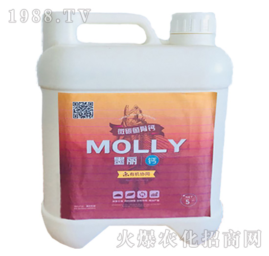 ī���~(y��)���}-����