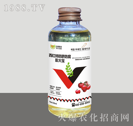 ���t����Ě����-���-�R�Sֲ��