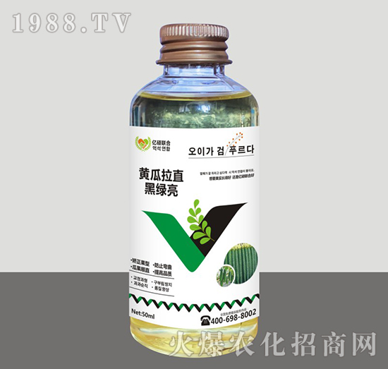 黃瓜拉直黑綠亮-匯豐植保