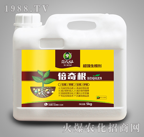 超強(qiáng)生根劑-倍奇根-蓓大姐