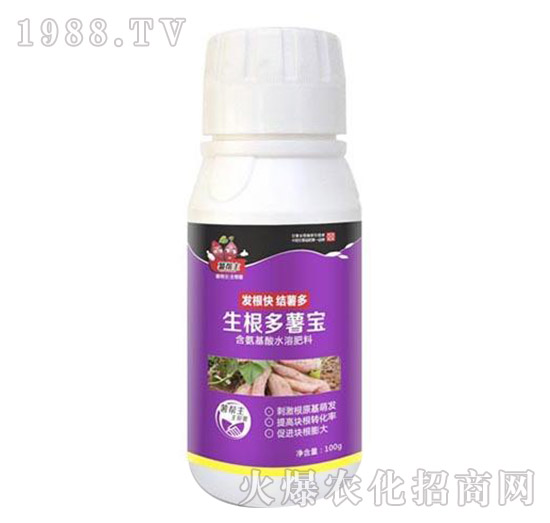 �t���������팚-�����-���A����(l��)