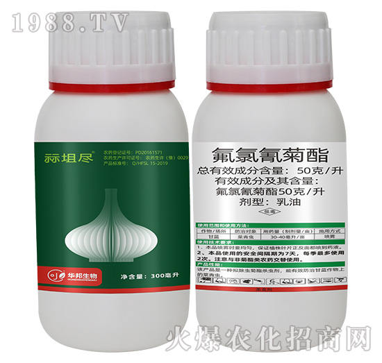 50��ÿ�����������-�{�o�M-�S�՘�