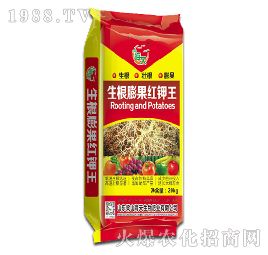 ��������t���-��������