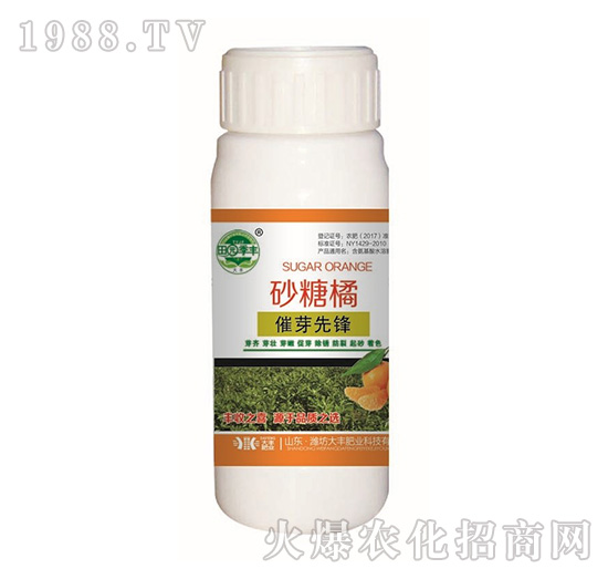 砂糖橘催芽先鋒-田園季豐-大豐肥業(yè)