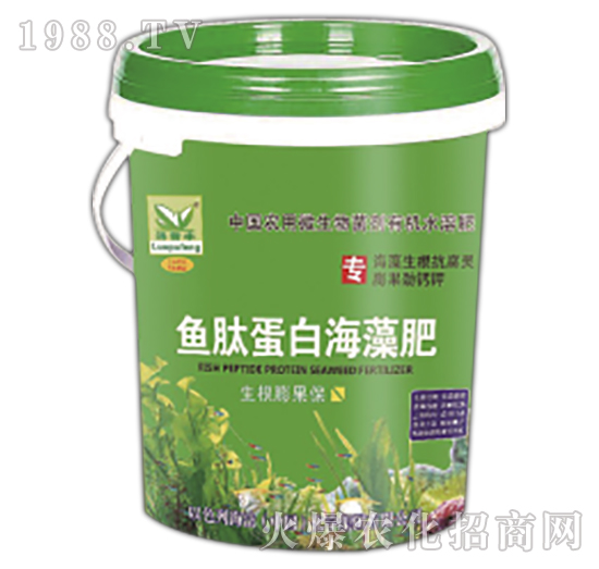 �~�ĵ��׺����-����