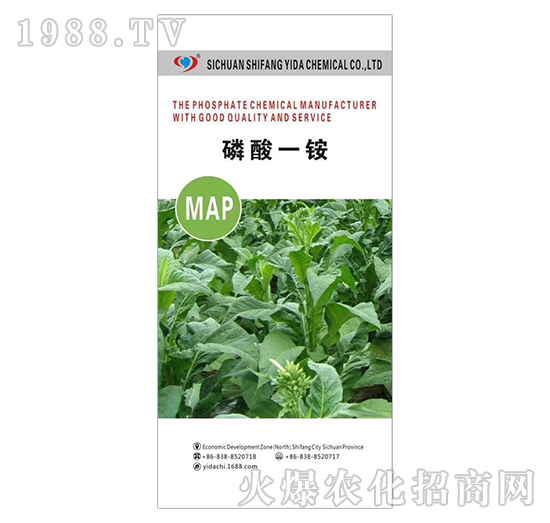 ����һ�@-�����_(d��)