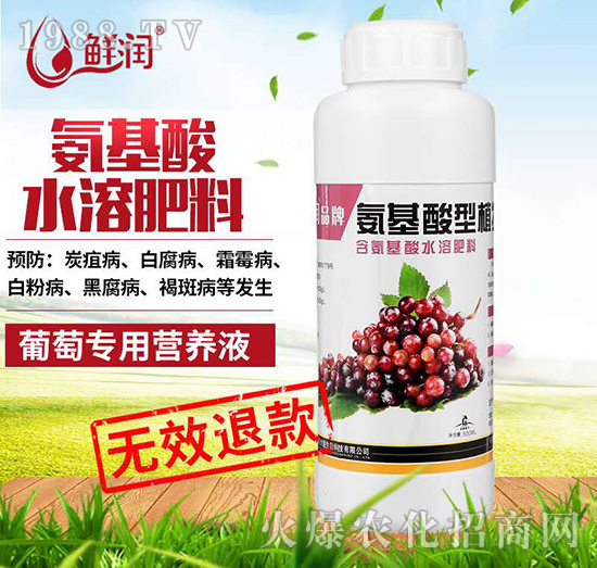 葡萄專用-鮮潤(rùn)品牌氨基酸型植物營(yíng)養(yǎng)液-農(nóng)悅生物
