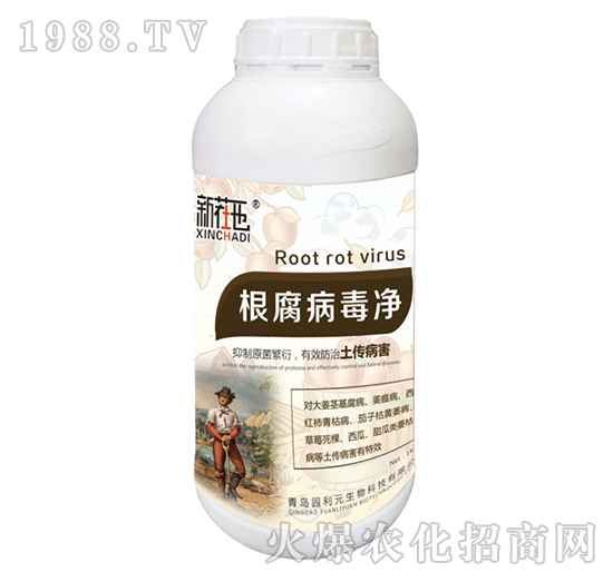 ����������-�@��Ԫ