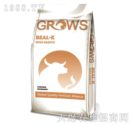 �����-���_ʩ-��ʢ����