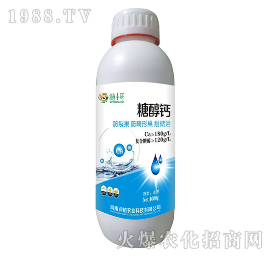 �Ǵ��}-��(r��n)ֲ