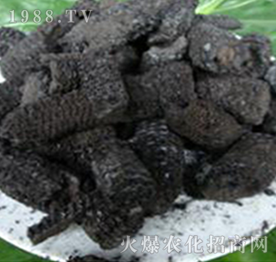 ����о̿-���f���r�I(y��)