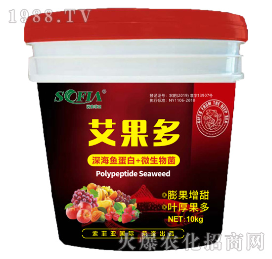 ������-���Ɓ�