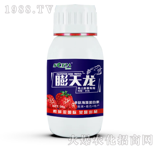 �����������-������-���Ɓ�