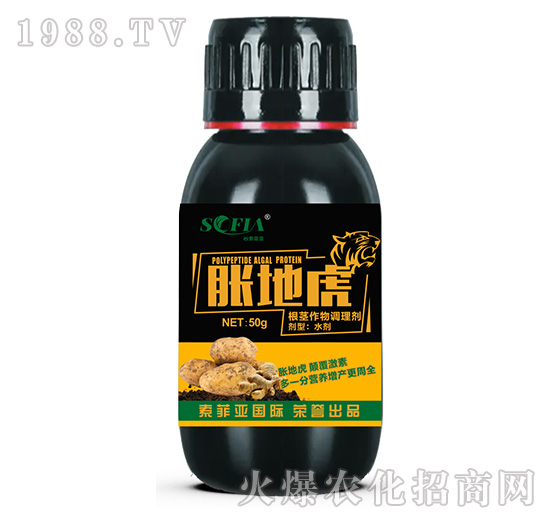 ���o�����{�턩-Û�ػ�-���Ɓ�