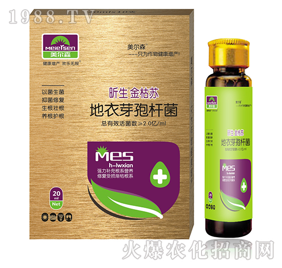 昕生金枯蘇（組合）-美爾森