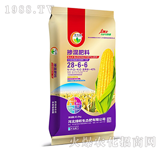 �������28-6-6-�G�S��-�G��