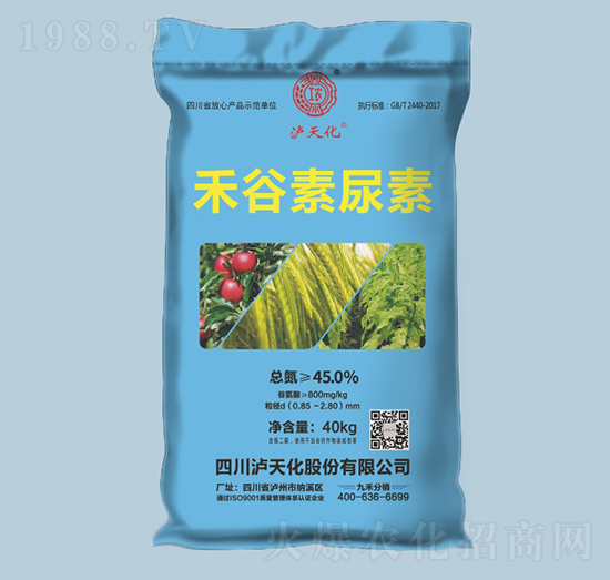 �̹�������-�o�컯-�r֮��