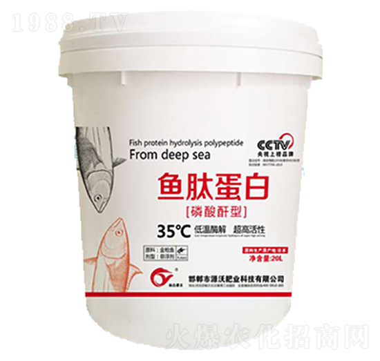 �~�ĵ���-���|�ʘI(y��)