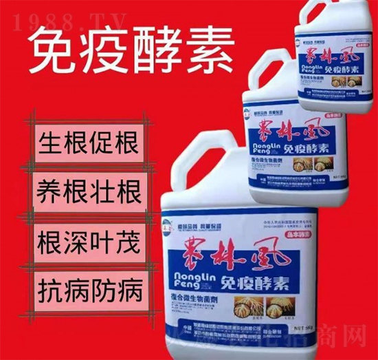 ���߽���-�r���L-��S��