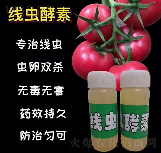 ���x(ch��ng)����-�r(n��ng)���L(f��ng)-��S��