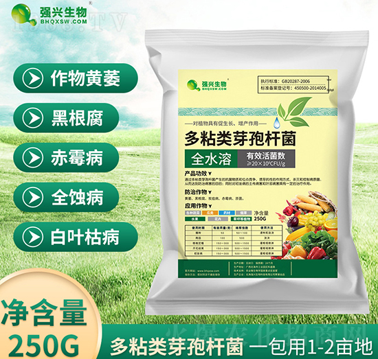 全水溶多粘類芽孢桿菌-強興生物