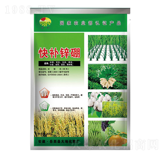 800g���a�\��-���-��ػ���