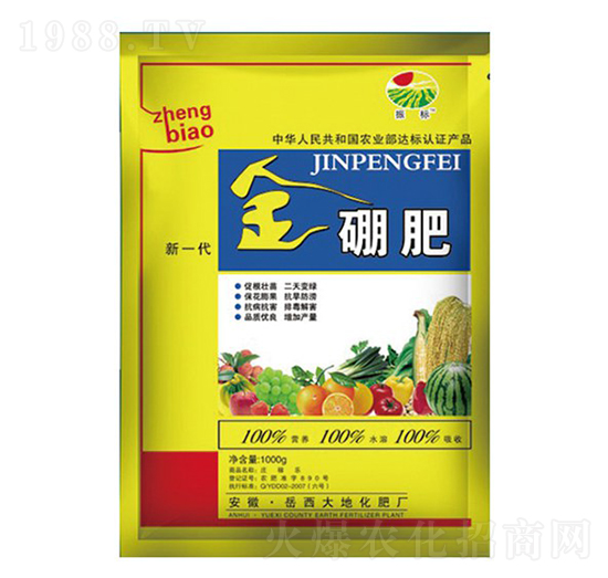 �����-���-��ػ���