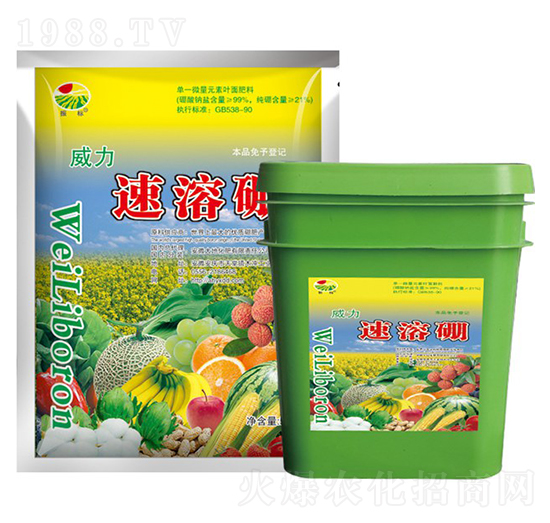 ����������-���-��ػ���