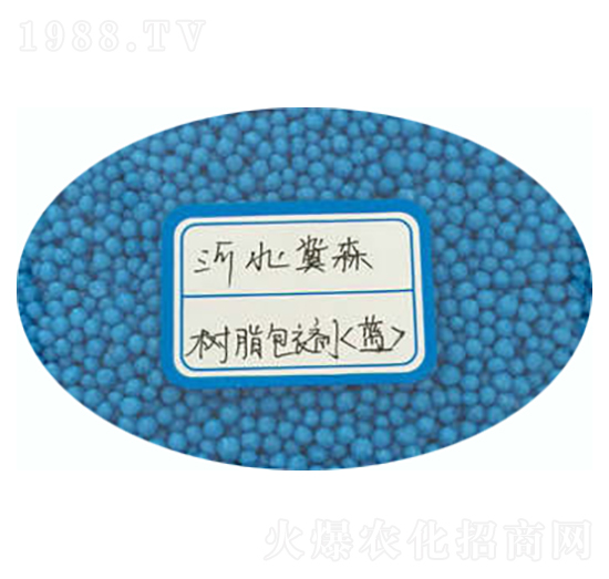 ��֬����-��ɭ