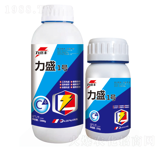 力盛1號(hào)-洛普