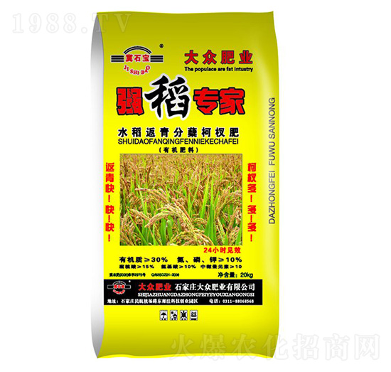 水稻專用返青分蘗柯杈肥-強(qiáng)稻專家-大眾肥業(yè)