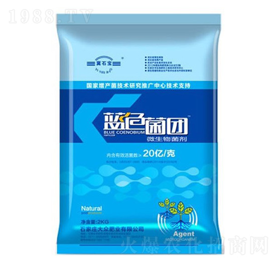 藍色菌團（20億克）-大眾肥業(yè)