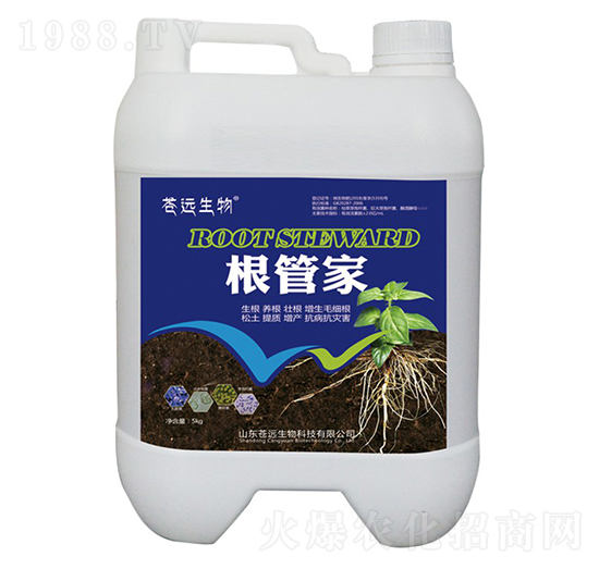 ���ܼ�-�n�h����