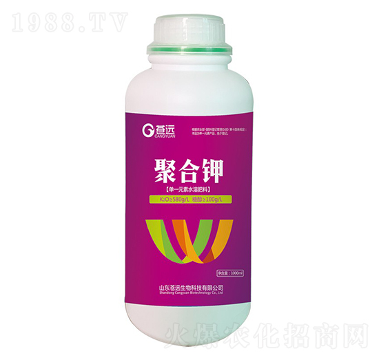 �ۺ��-�n�h����