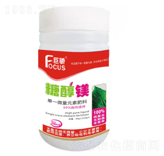 �Ǵ��V-���-�G����