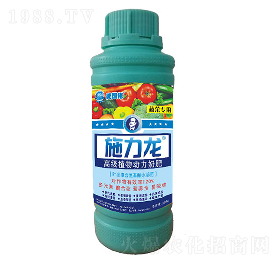 �߲ˌ����~���-ʩ����-�G����