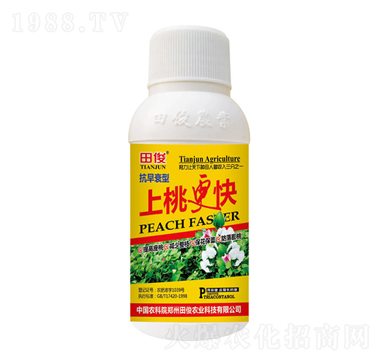 抗早衰型上桃更快-田俊肥業(yè)