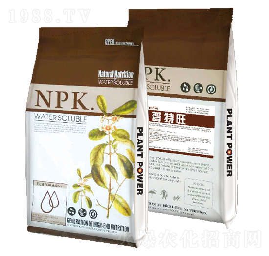 ������-�W������